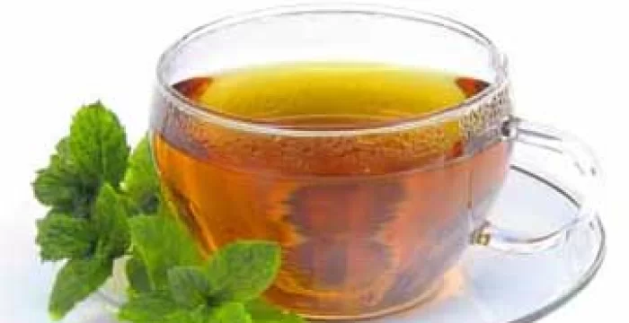 Tisane Infusi e Decotti